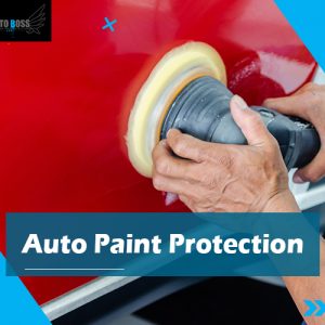 auto-paint-protection