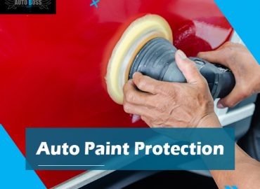 auto-paint-protection