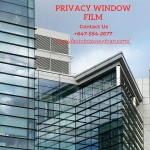 Privacy Window Film