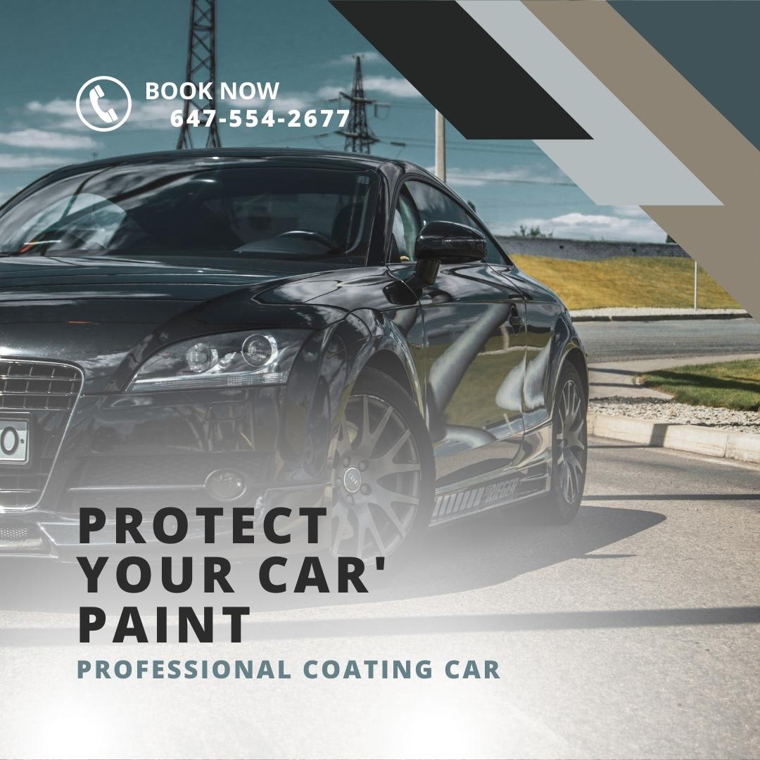 PPF Vs. Ceramic Coating For Your Car's Paint Protection
