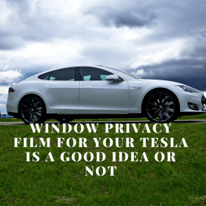 Window Privacy Film