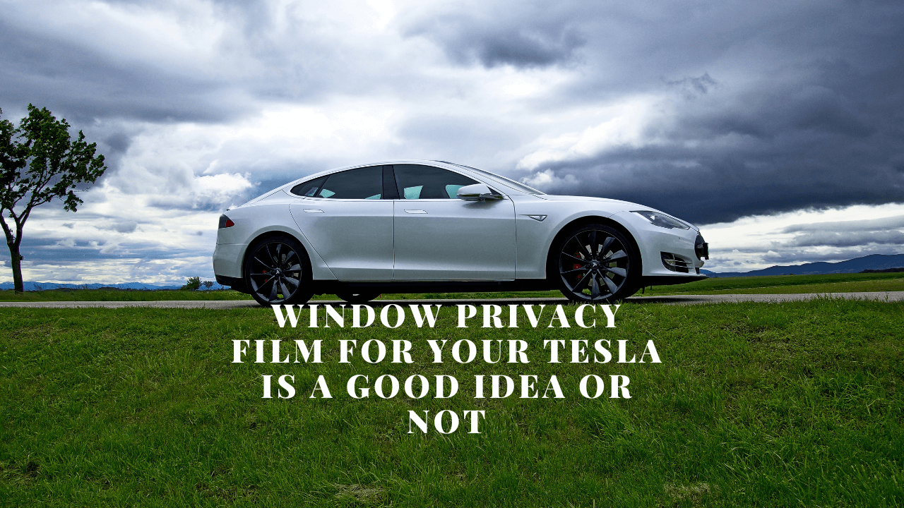 Window Privacy Film