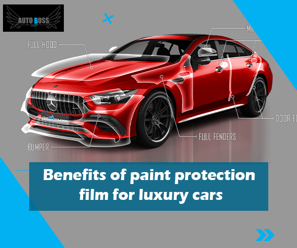 paint protection film for luxury cars