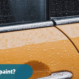 rain Damage car paint