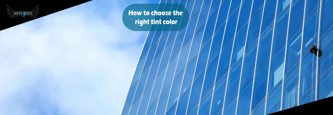 How-to-choose-the-right-tint-color